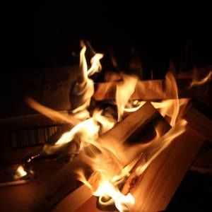 Meet your Posher, Dianne